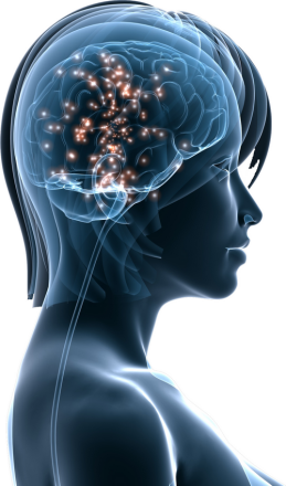 Cycle de Formation Tanagra en Neursciences