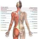 Messages du corps - Psycho-somatologie