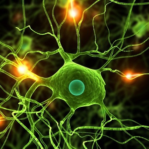 Recherche Scientifique